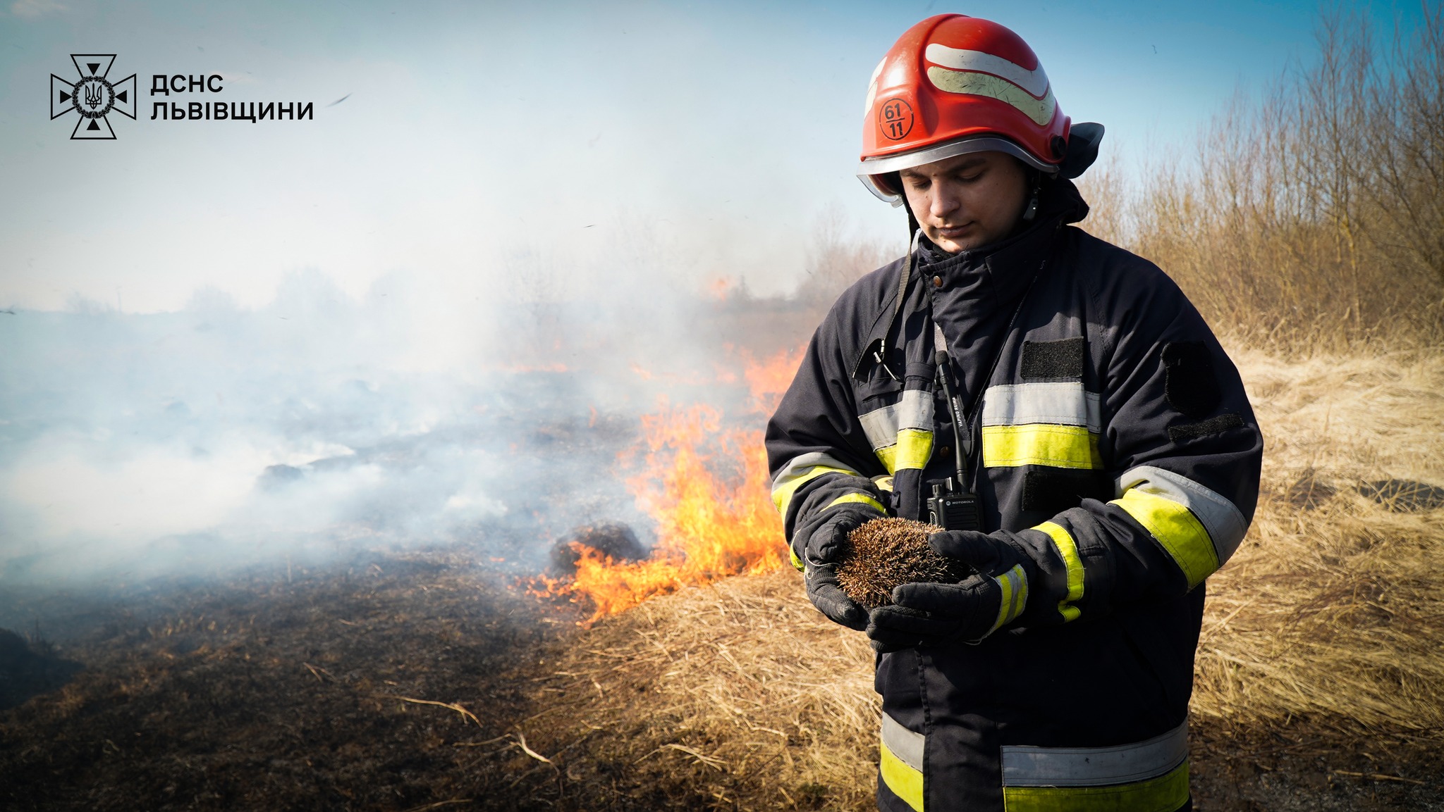 Вогонь нищить, рятувальники – рятують: на Львівщині вогнеборці врятували їжачка