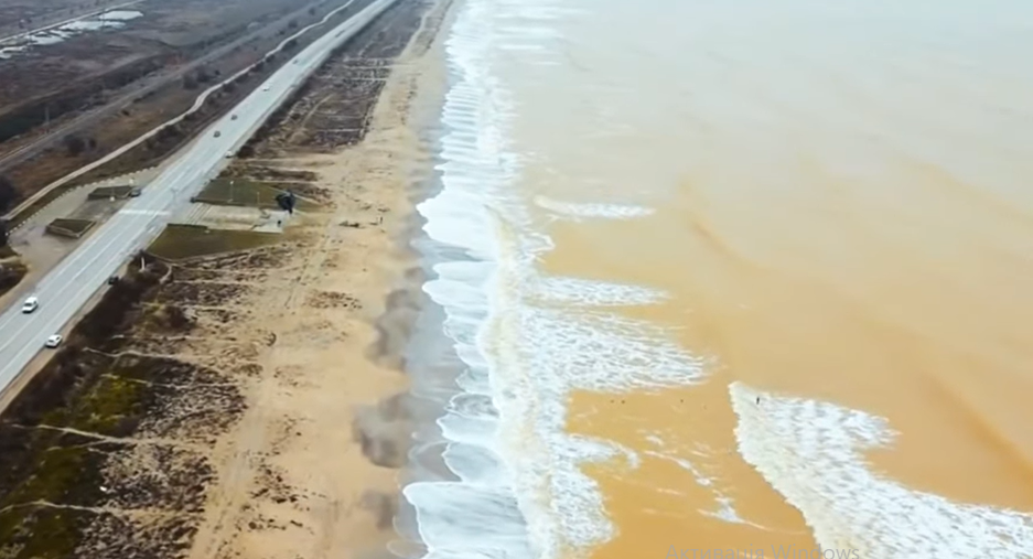 Вода в Чорному морі стала схожа на пиво. Причини незвичного явища
