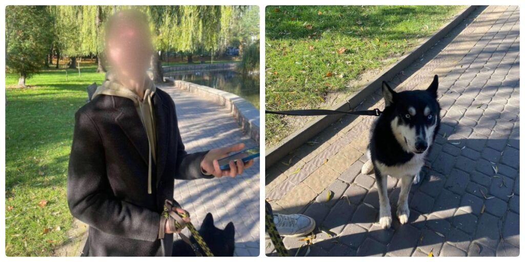 В Івано-Франківську ТЦК мобілізував чоловіка, собака якого загриз лебедя в парку (фото)