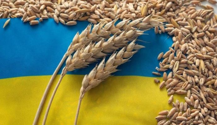 Туреччина оголосила про відновлення переговори щодо «зернової угоди»