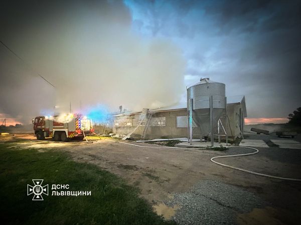 На Львівщині горіла ферма, де вирощували 30 тисяч курчат
