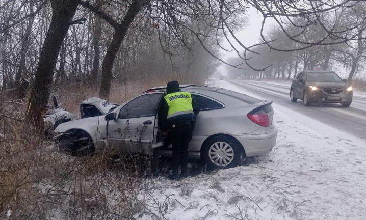 На Львівщині Mercedes влетів у дерево. Постраждали 5-річний хлопчик і немовля