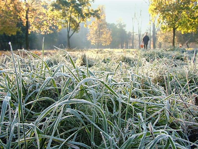 Якою буде погода на Львівщині 11 лютого: прогноз