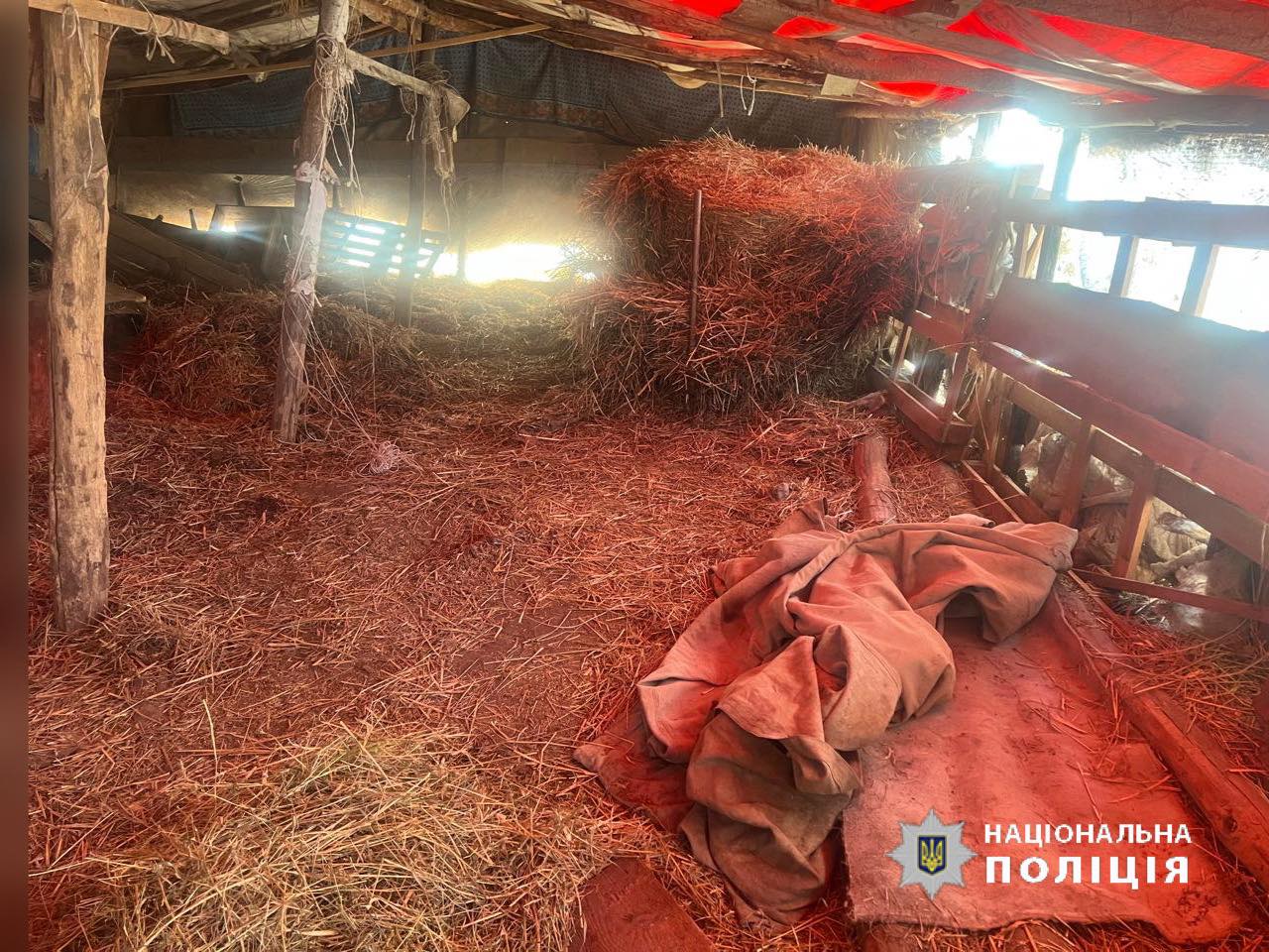 На Волині двоє малолітніх дівчат втекли з дому через проблеми в сім’ї: їх шукали всю ніч (фото)