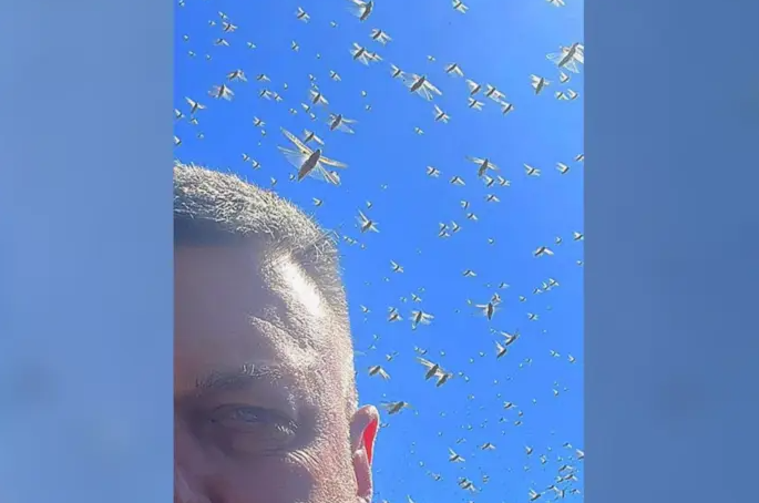 Тягнибок показав нашестя шкідників у Запорізькій області (відео)