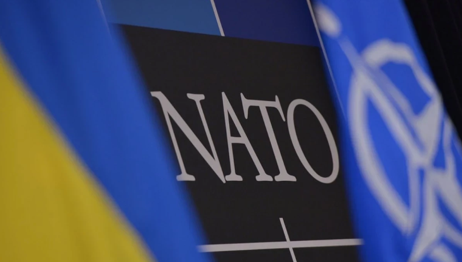 Парламентська асамблея НАТО визнала російські злочини проти України геноцидом