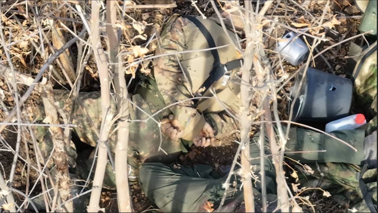 Росіяни розстріляли військовополонених на Запоріжжі. Фото 18+