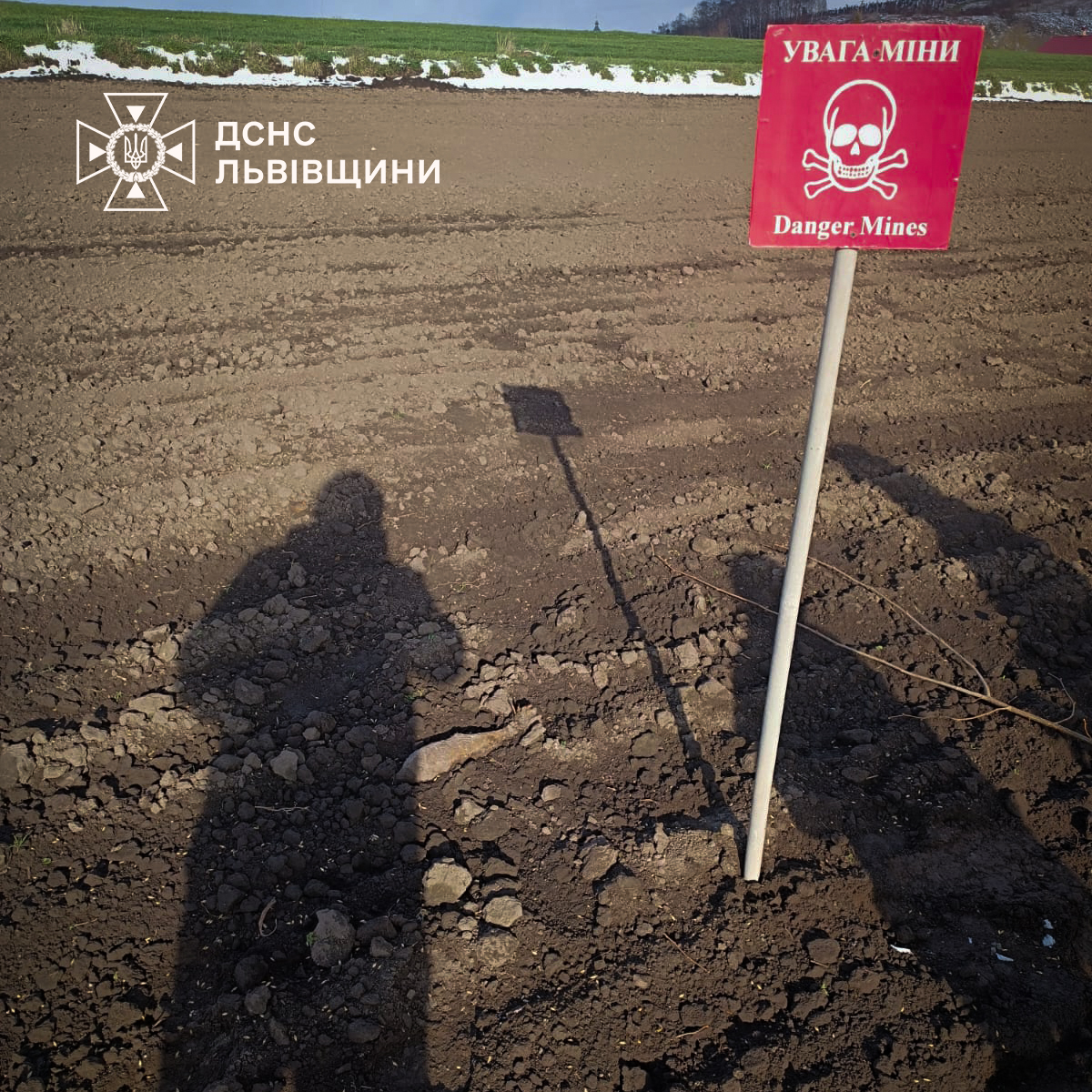 На Львівщині в полі знайшли мінометну міну (фото)