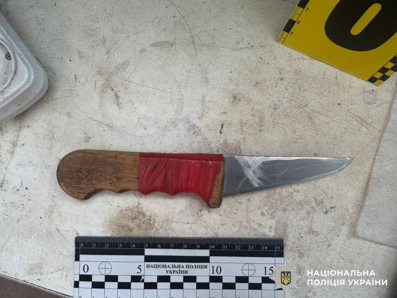 Поранений у шию викликав "швидку": На Вінниччині чоловік врятувався від нападника