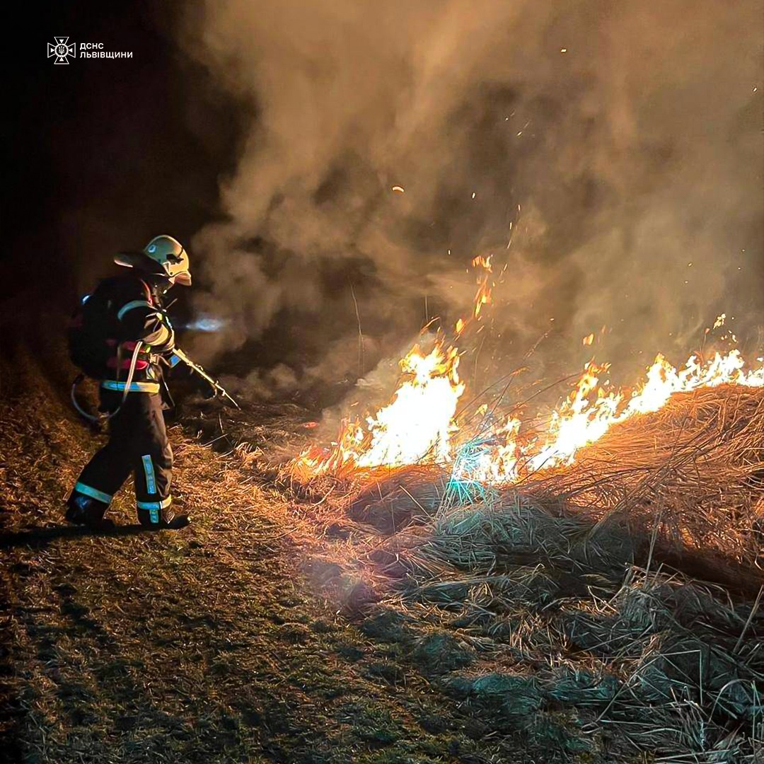 Майже 40 пожеж сухої трави на Львівщині за добу: рятувальники застерігають (фото)