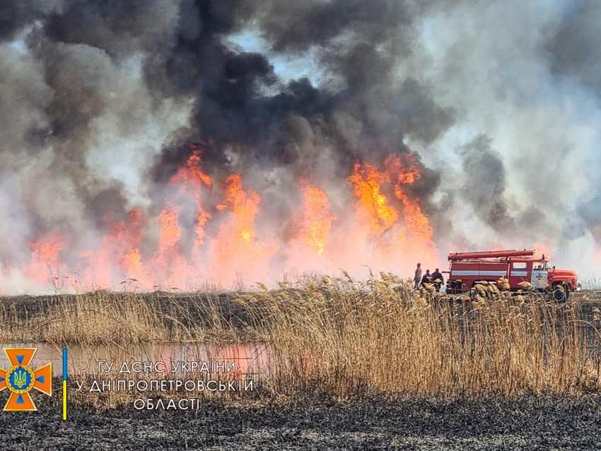 На Дніпропетровщині локалізували масштабну лісову пожежу