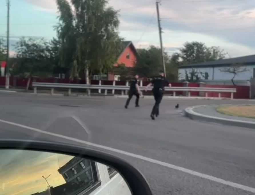 Перекрили чотири смуги через втікача: у Сарнах патрульні влаштували "спецоперацію" (відео)