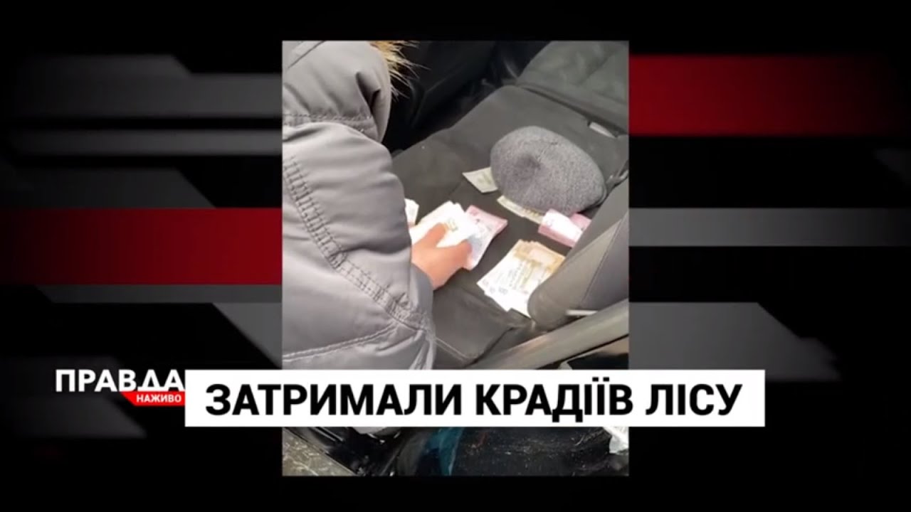 Попалися на хабарі: затримали гендиректора "Галсільлісу" та керівника Яворівського лісгоспу