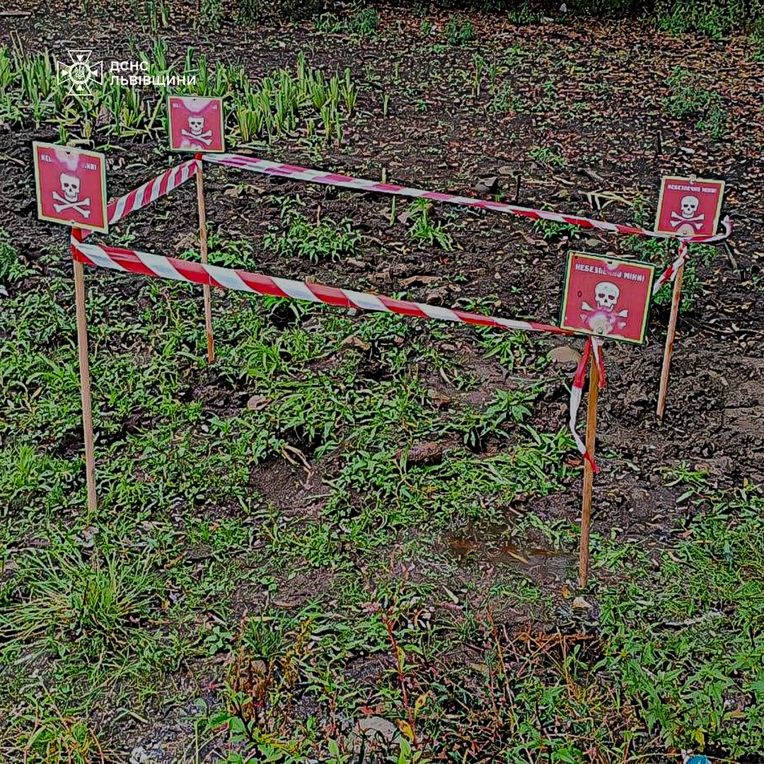 На Львівщині неподалік від дороги та будинку виявили небезпечну знахідку (фото)