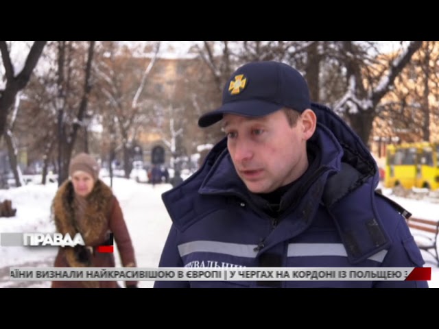 У Дрогобичі рятувальники визволили собак із пастки