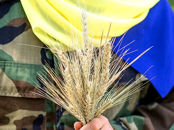 Без українського зерна. Що посіяли ми і що пожне світ від війни в Україні