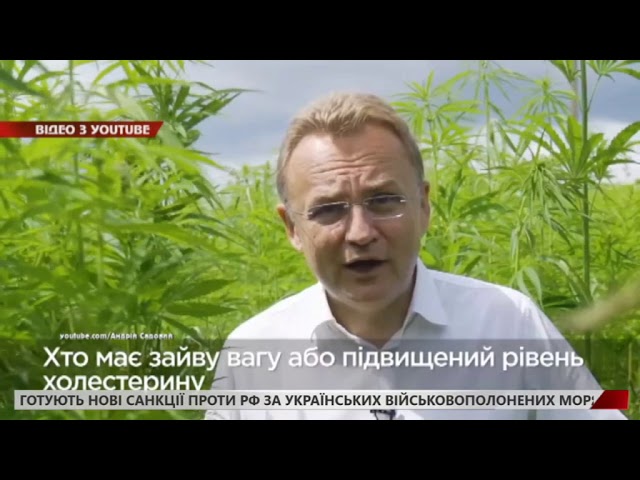 Шокуюча заява Садового: "Політики вживають коноплю"