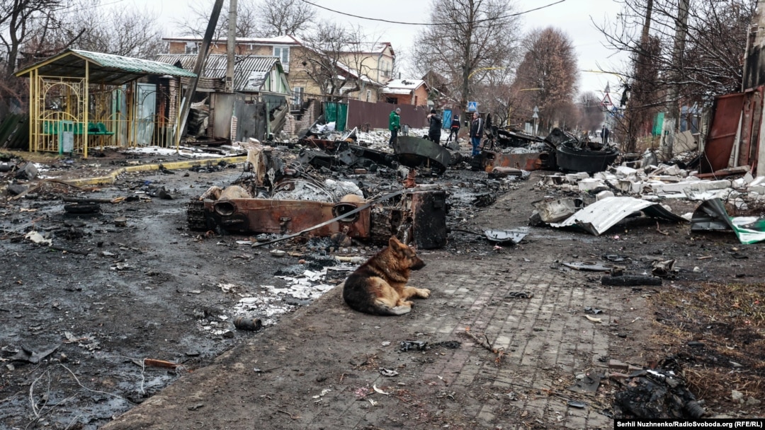Нацгвардія знайшла важливі документи окупантів, які вели бої на Київщині