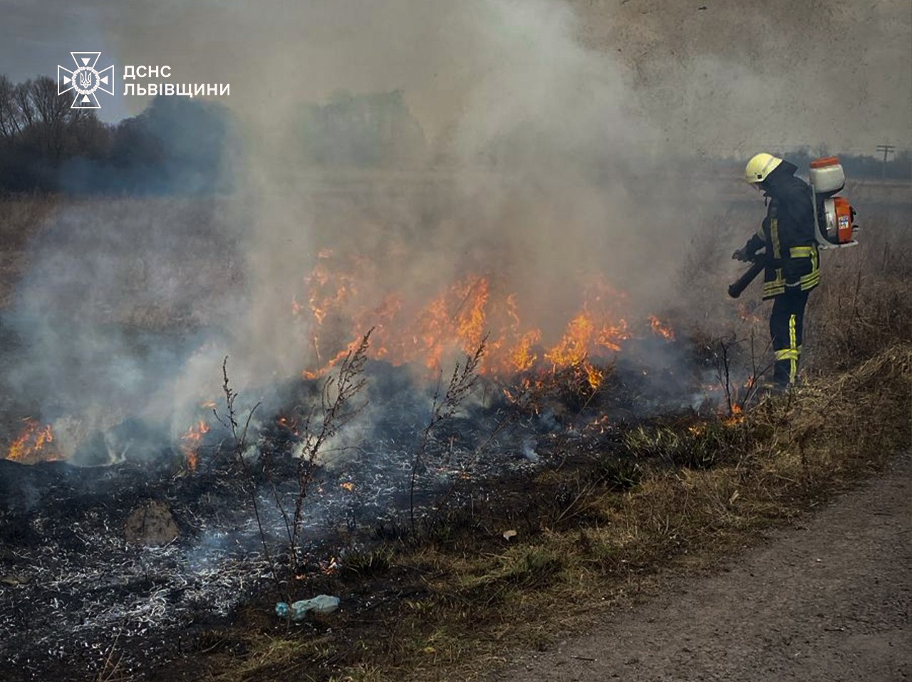 На Львівщині за добу зареєстровано більше ста пожеж сухої трави (відео)