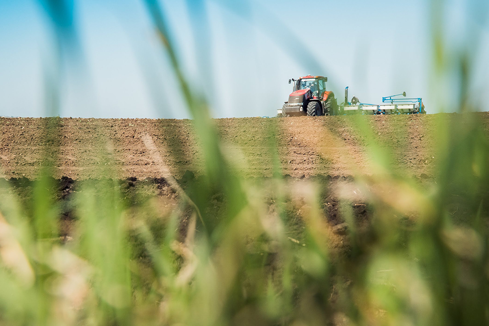 Україна розпочала другу посівну під час війни - Шмигаль