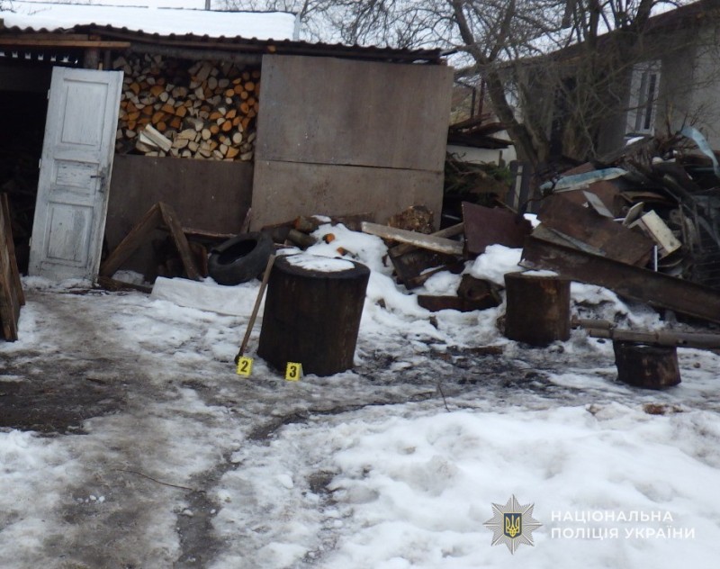 Забив до смерті сокирою: на Львівщині судитимуть шкуродера за вбивство кота