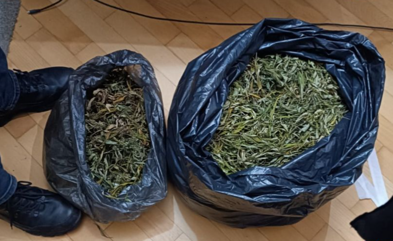 В’язниця через канабіс: на Львівщині чоловіка засудили на 10,5 року за наркотики