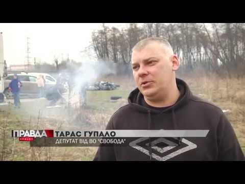 Львів’яни долучились до толоки