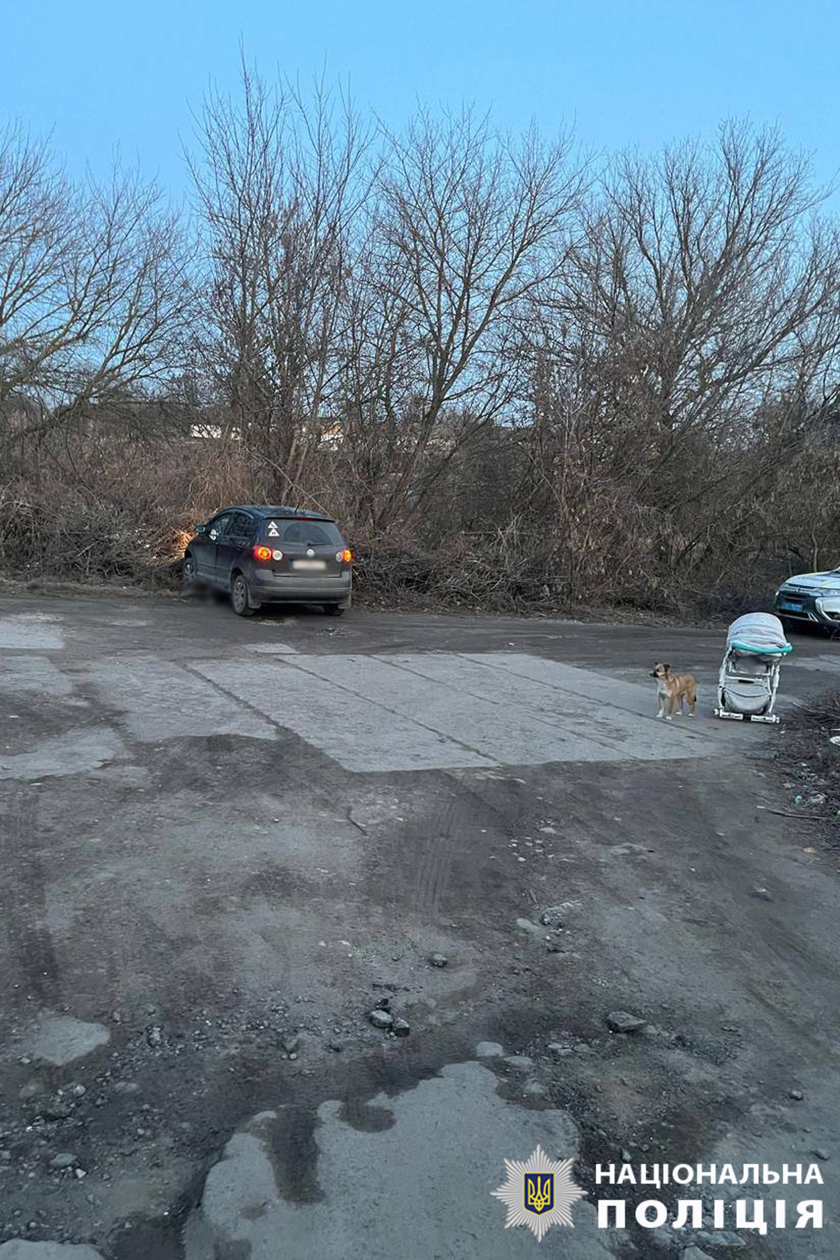 На Черкащині водійка на смерть збила жінку з дитячим візком