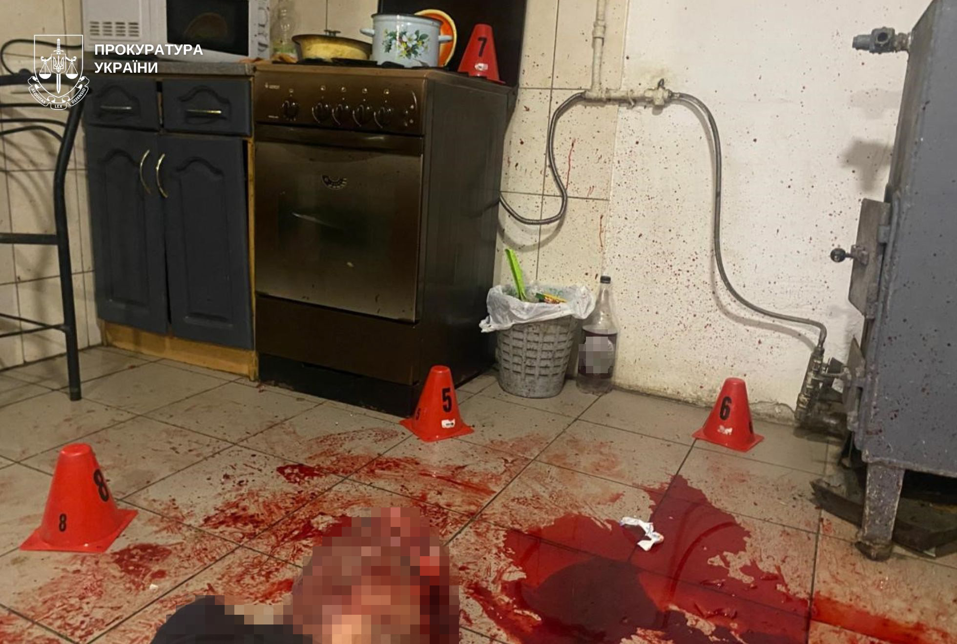 10 років тюрми за смерть товариша: на Львівщині засудили вбивцю-пенсіонера (фото)