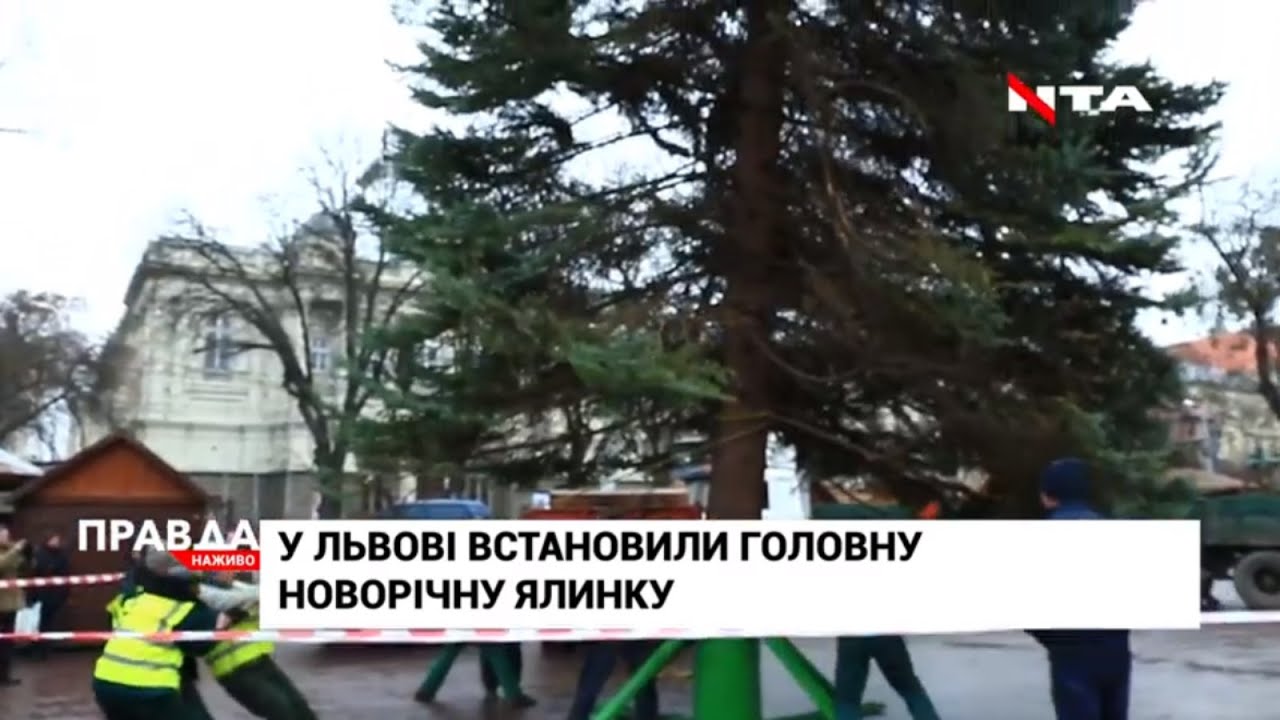 У Львові встановили головну ялинку