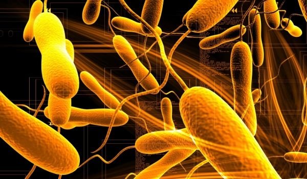 У воді в південних областях не виявили збудників холери, - головний санлікар