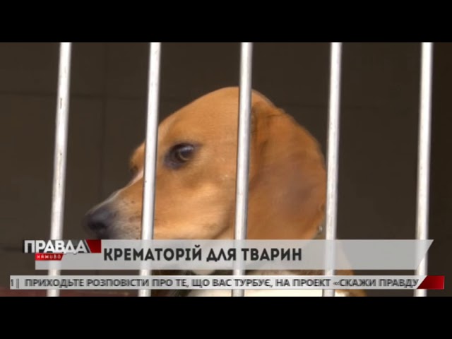 ЛКП  "Лев" хоче встановити крематорій для тварин