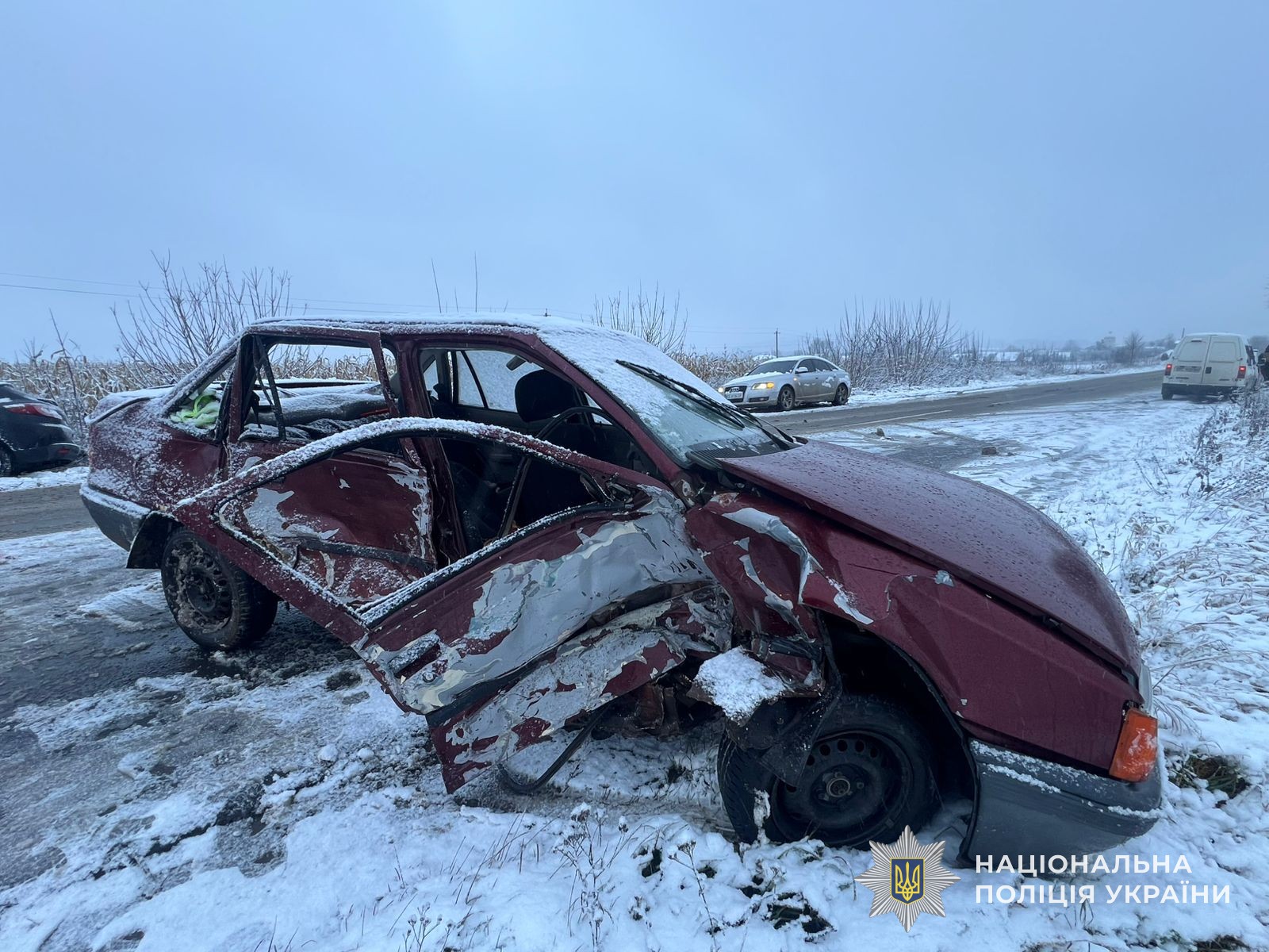 Внаслідок аварії на Львівщині двоє людей - у лікарні (фото)