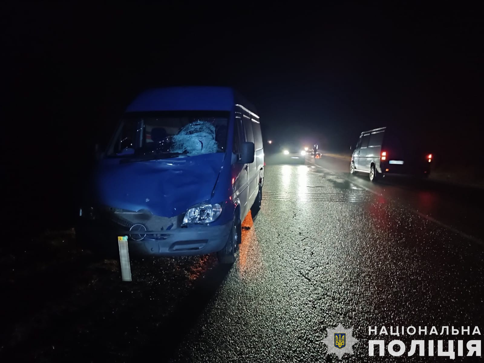 Моторошна ДТП на Львівщині: загинув 46-річний пішохід
