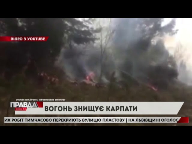 Вогонь ледь не знищив заповідник "Сколівські бескиди"