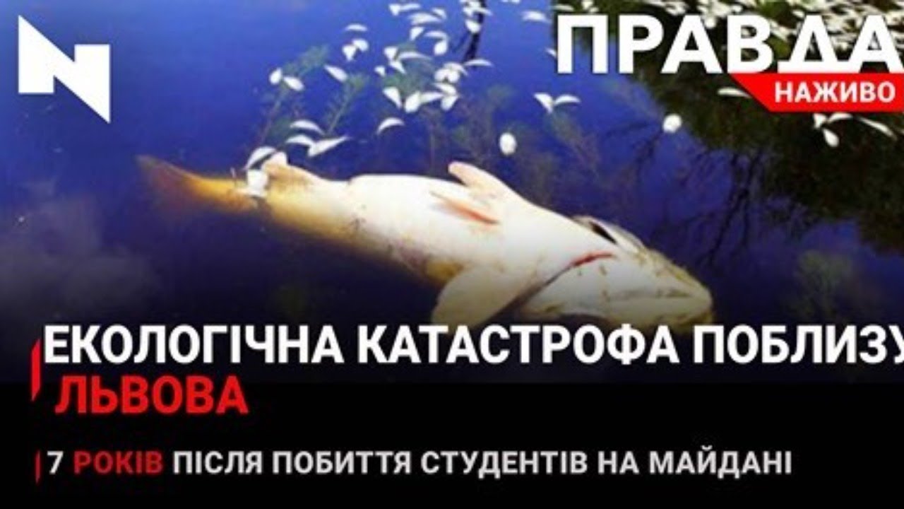Правда. Наживо. Повний випуск