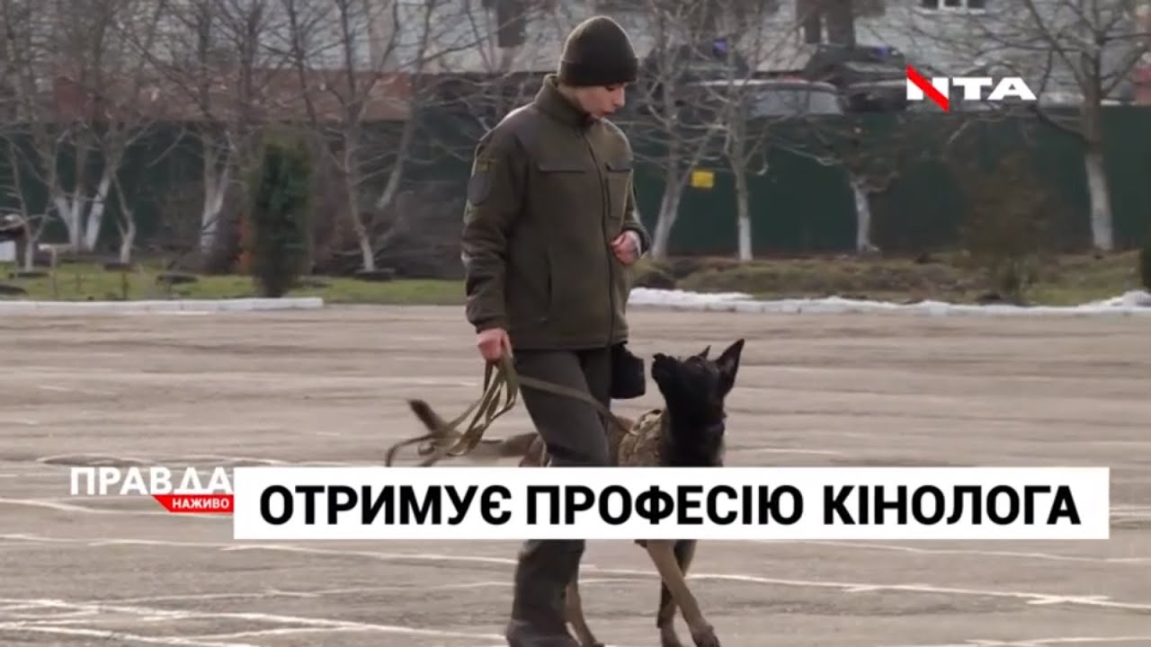 У Львові з'явилась перша жінка-кінолог: чому обрала цю професію?