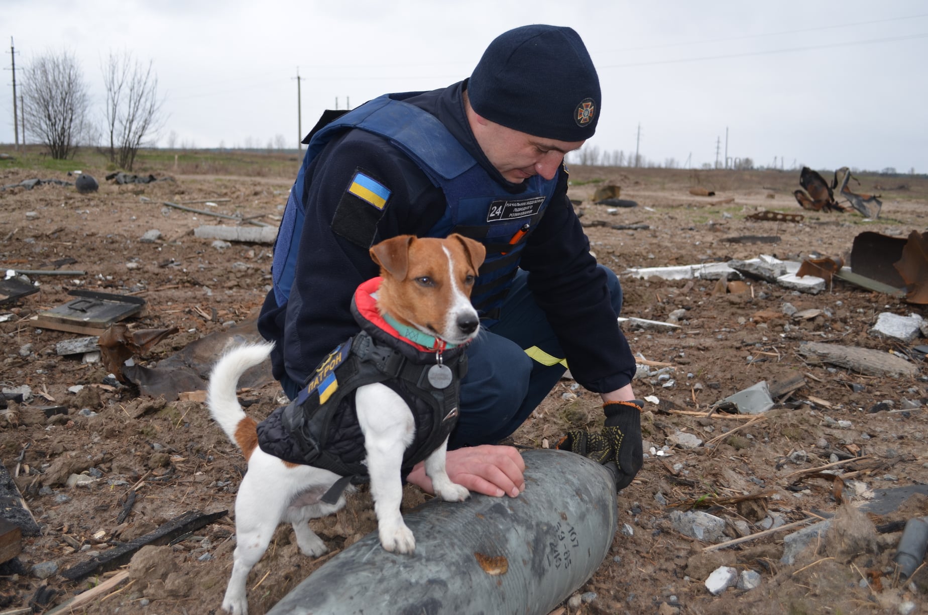 Піротехніки разом з Патроном за добу знешкодили понад 260 потенційних "бахів"
