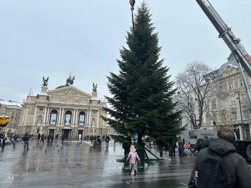 У Львові встановили головну ялинку. Фото, відео