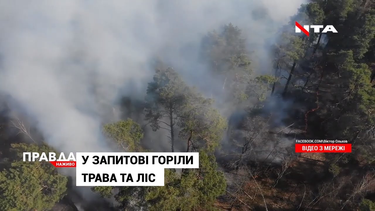 Жахлива пожежа у Запитові: через паліїв сухостою зайнявся й ліс