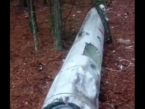 На Київщині чоловік у лісі знайшов ракету