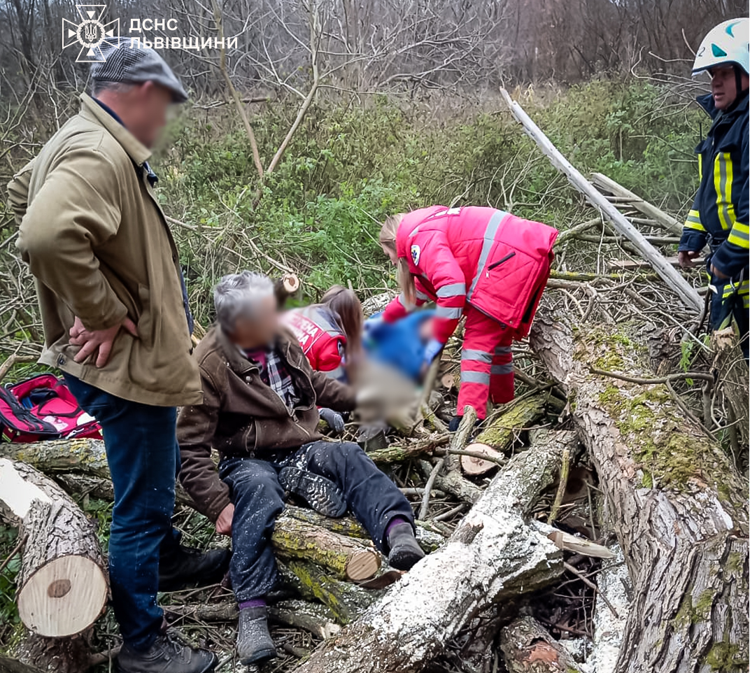 На Львівщині дерево впало на батька та сина: подробиці (фото)