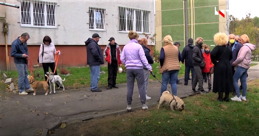 Сихівська догхантерка. У Львові мешканці звинувачують сусідку в отруєнні тварин