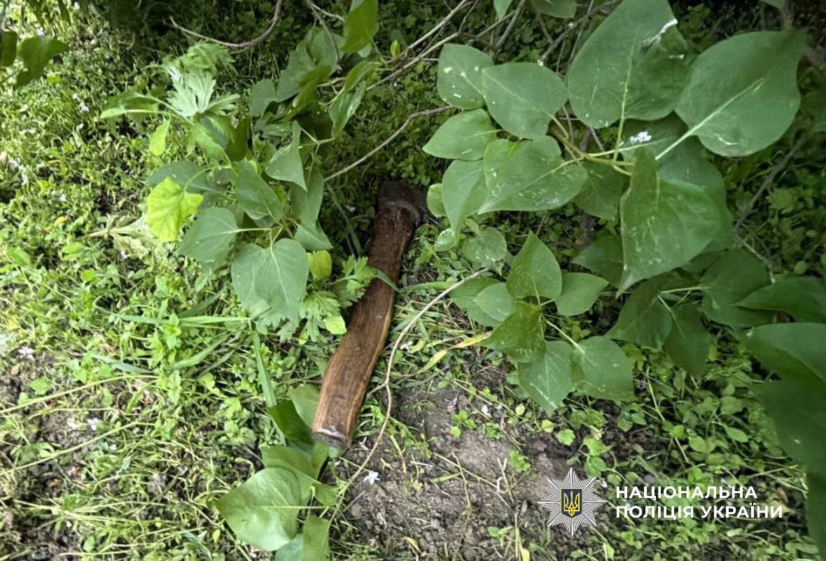 Не поділили гроші: на Київщині пенсіонер влаштував криваву розправу над сестрою (фото)