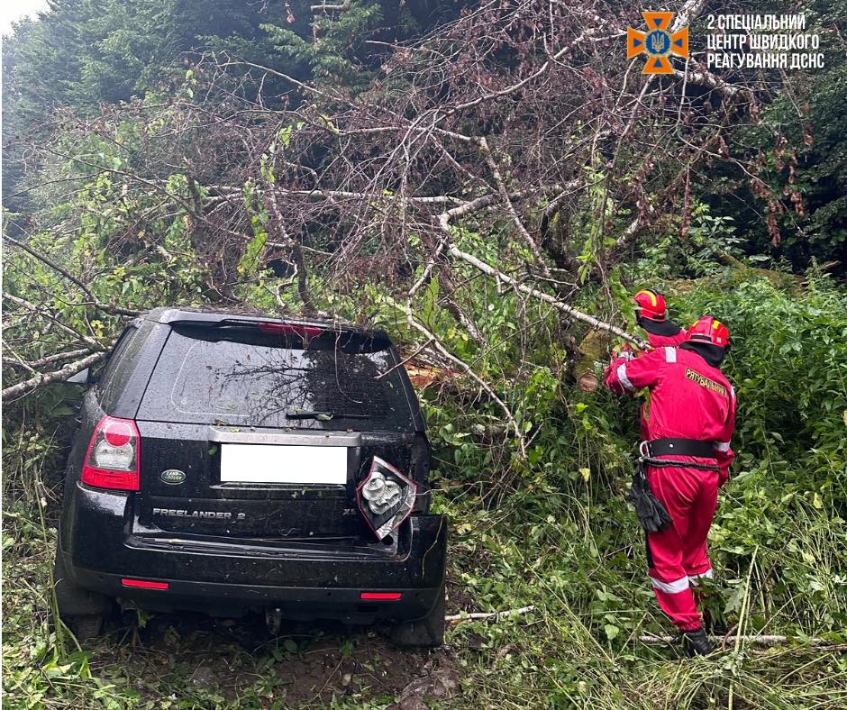 На Львівщині авто з'їхало з дороги та повалило дерево: деталі ДТП