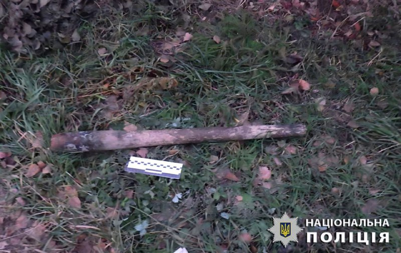 У Києві чоловік забив жінку до смерті палицею: яка причина (фото)
