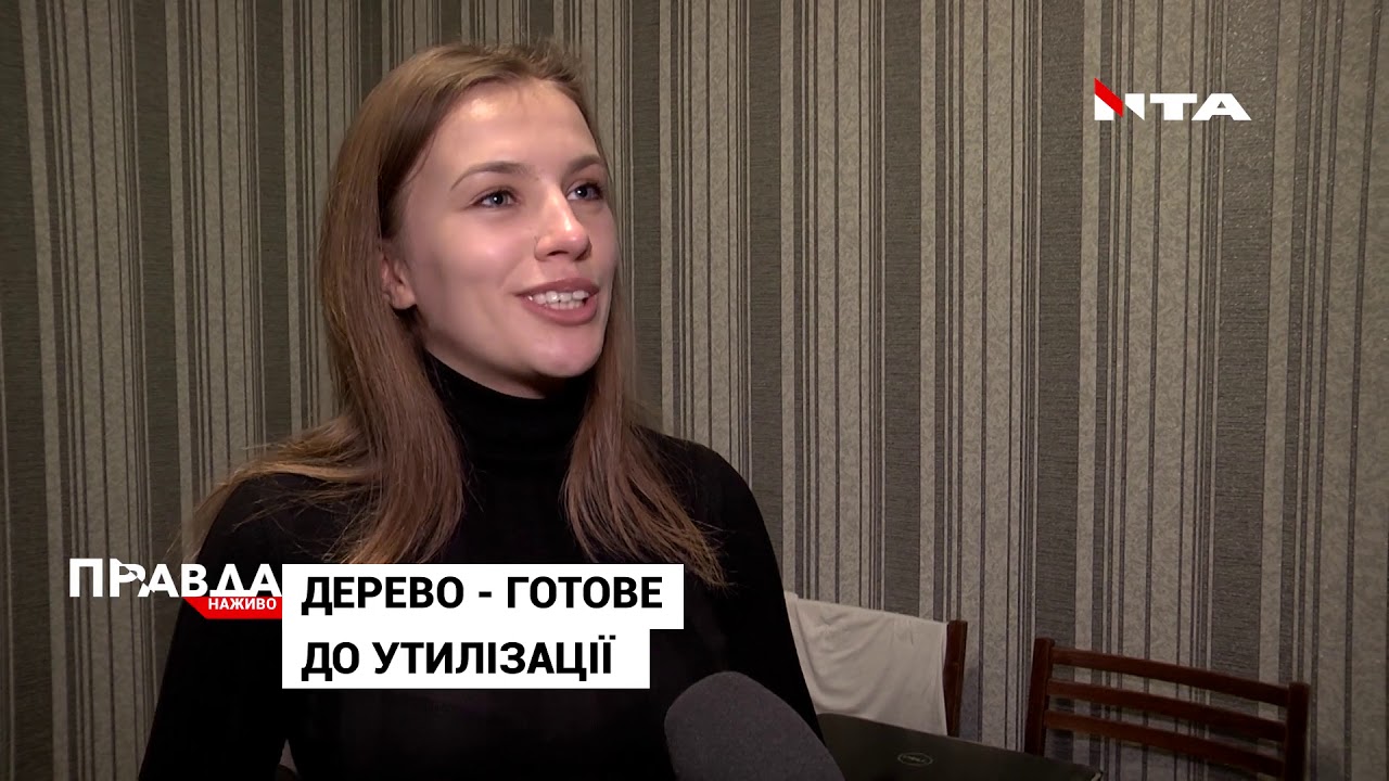 У Львові працюють локації для збору дерев на переробку