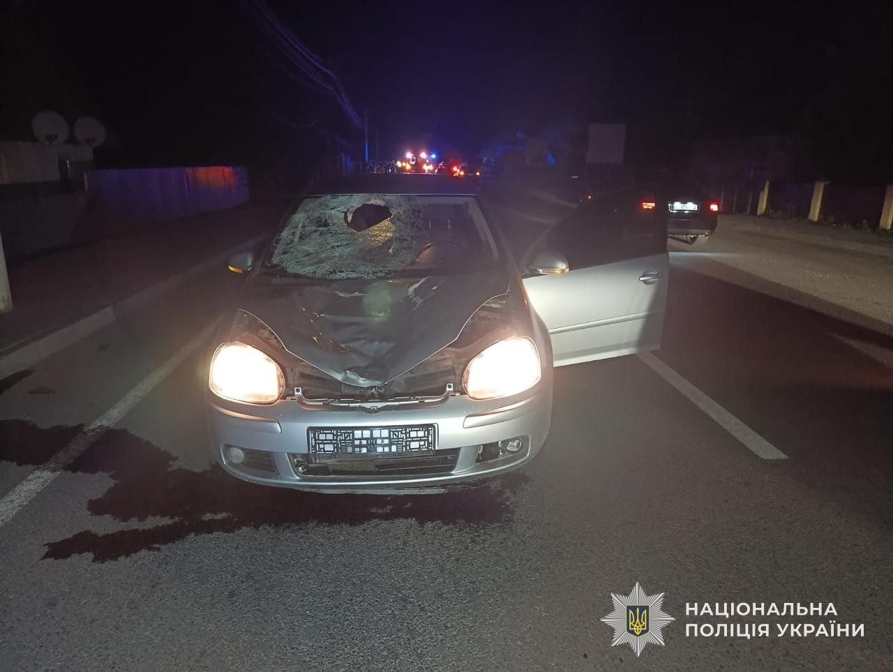 На Львівщині внаслідок наїзду іномарки загинув житель Харкова (фото)