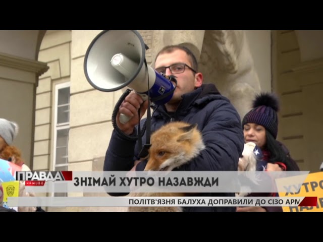 Львів’яни долучились до антихутряної акції