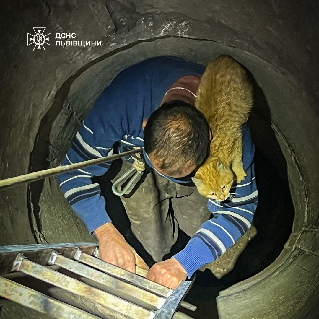 На Львівщині чоловік ледь не загинув через кота